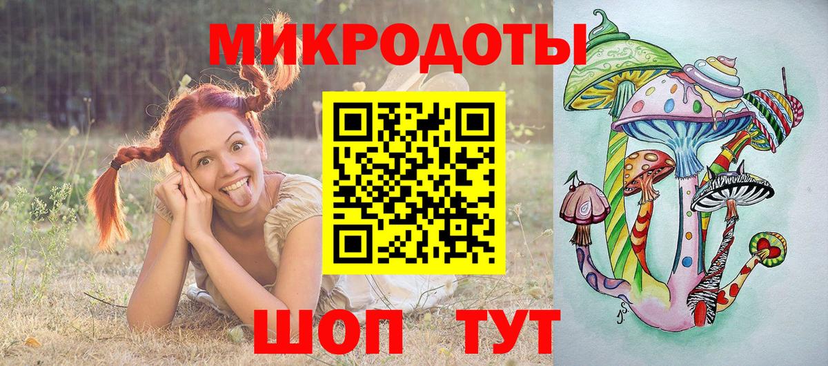 Псилоцибиновые грибы мухоморы Северск