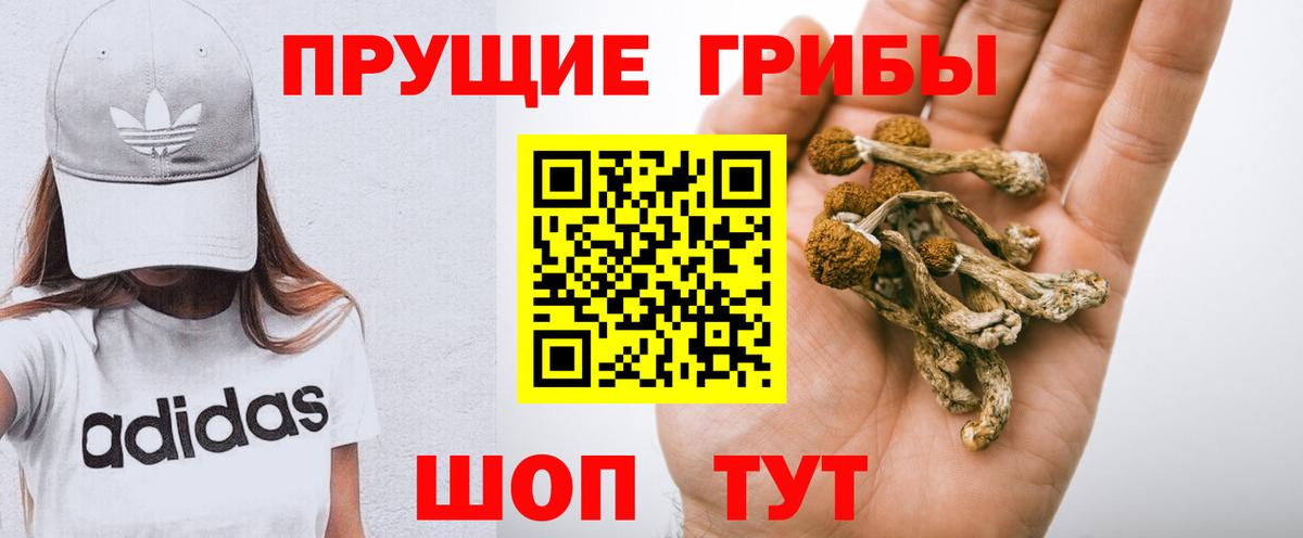Северск  даркнет сайт  Вход с VPN  Галлюциногенные грибы мухоморы 