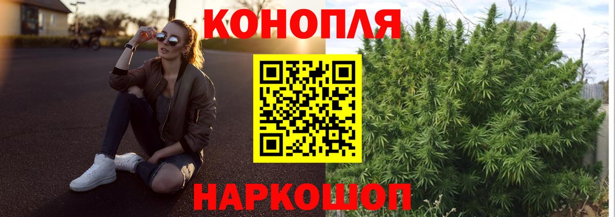 Конопля сатива  Вход с VPN  Конопля планчик  Северск 